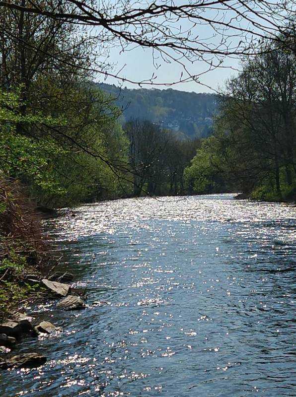 Selbstwert und Geld: Natur Aufstellungen - systemisch ritueller Aufstellungstag mit Pferden und Naturelementen - 2019-05-19