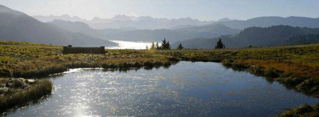 Tausch von Bergkäse gegen Handy - Die Ruhe der Alpen genießen.