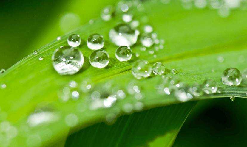 Zuerich/Adliswil: Meditationstag - Erfahrung & Erkenntnis pur - 2017-07-01