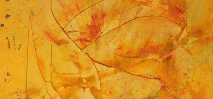 Qi Gong for Life – der Tanz des Qi's - So kannst auch du dich selbst von Stress befreien! - 2017-08-26