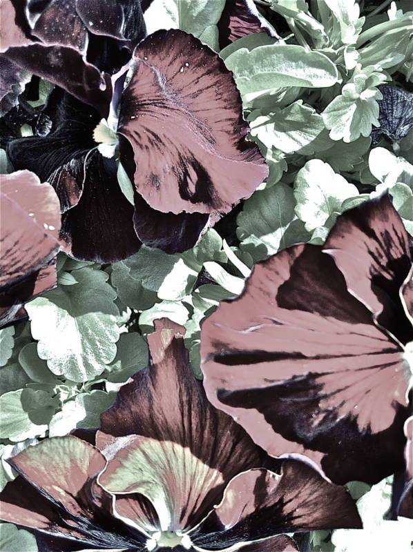 Bonn: Medialer Nachmittag - mit Vortrag über das Diesseits und das Jenseits - 2017-04-30