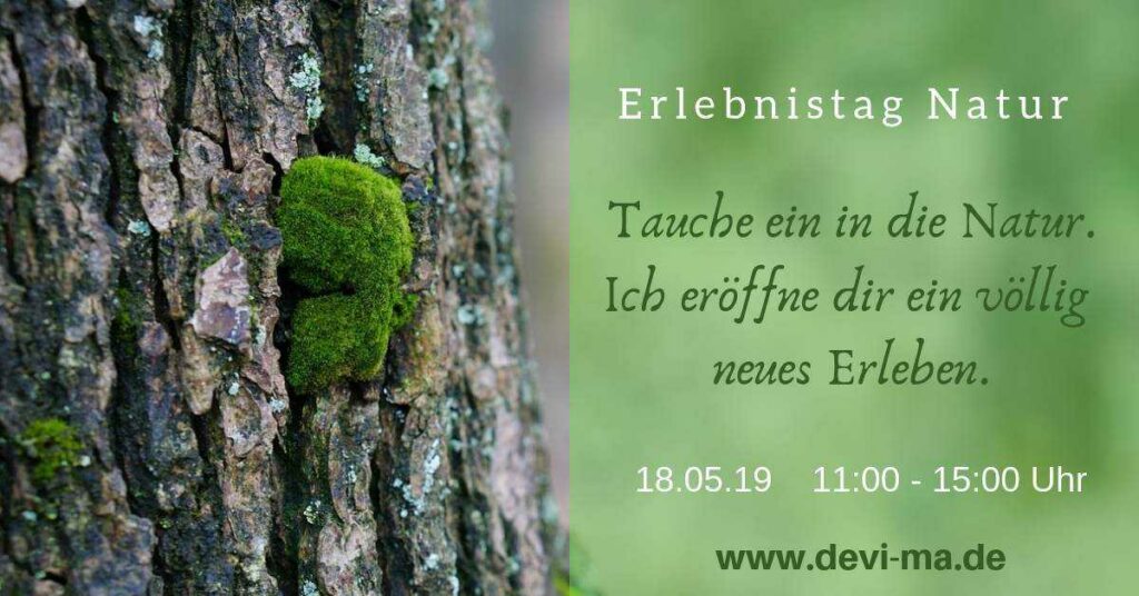 Erlebnistag NATUR - Tauche ein in die Natur und erlebe Sie auf eine neue intensive Weise! - 2019-05-18