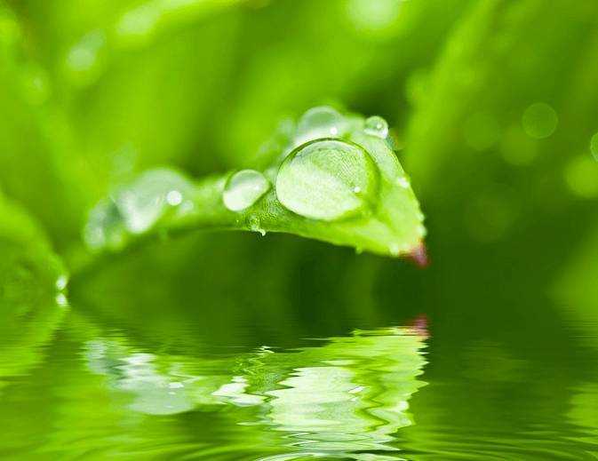 Im Glücksregen stehen - Eine Praxis-Werkstatt zur Förderung der Selbstachtung - 2017-07-01