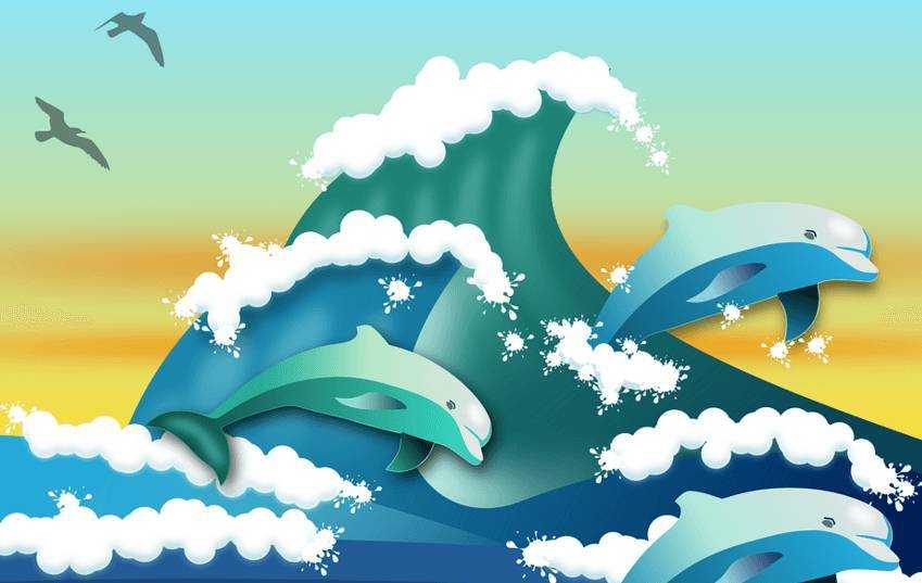 Delphinworkshop -  - 2017-06-24