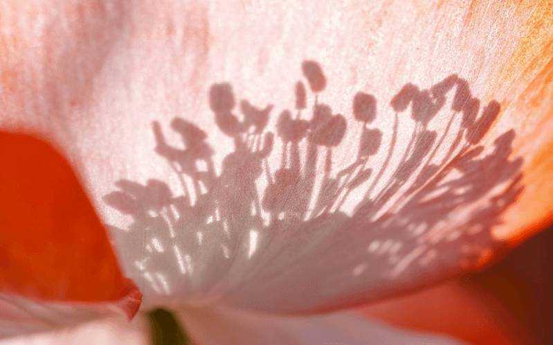 Symposium “Lebendige Hochsensibilität” -  - 2018-02-02