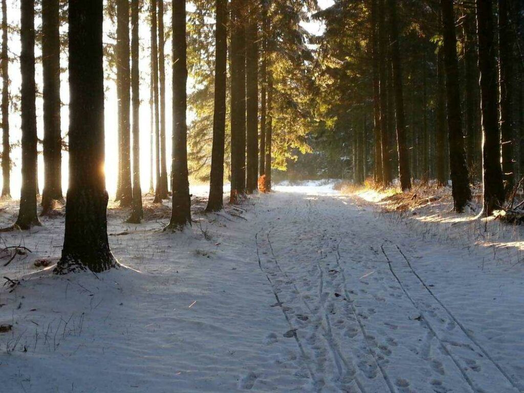 Silvester Retreat Wandern & Achtsamkeit - Silvester einmal anders! - 2021-12-29