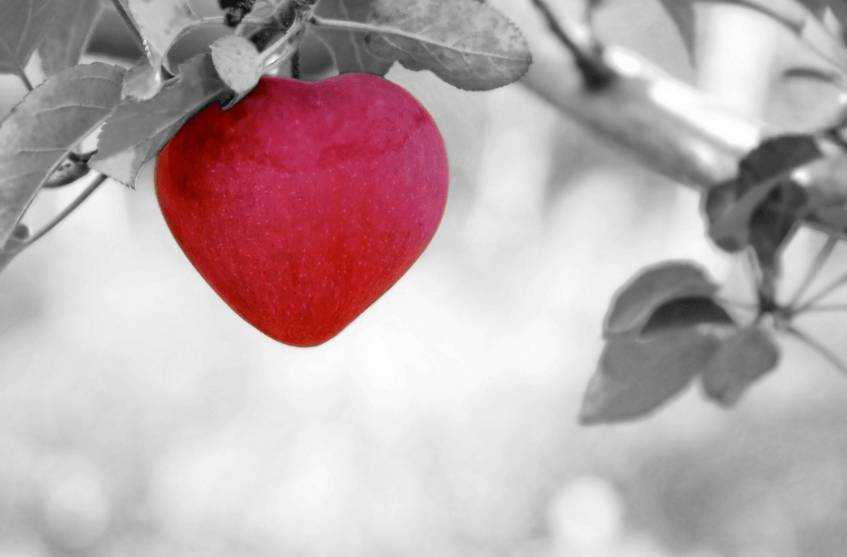 Bereit für die Liebe -  - 2018-06-01