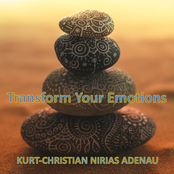 Transform Your Emotions - Horst Leuwer