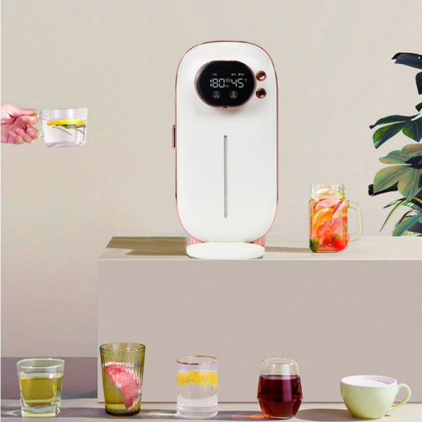 plug&play Angebot des Monats - Bianca Maria Raven