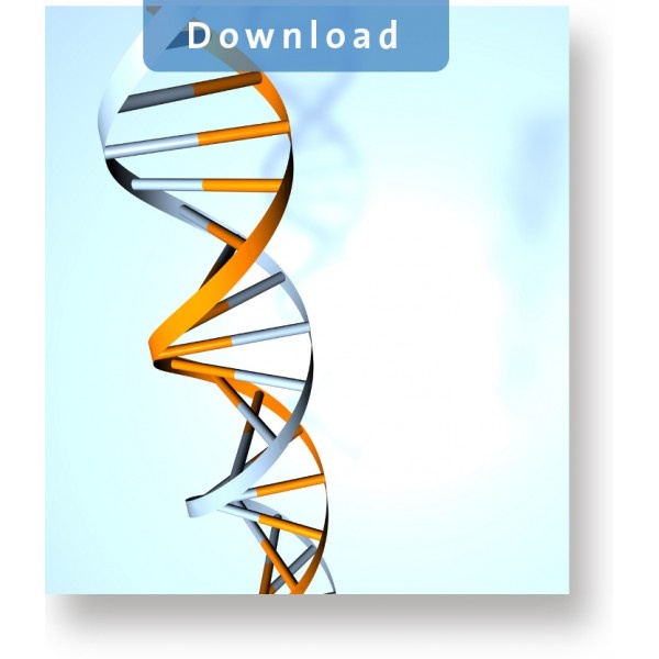 Das I Ging und der Genetische Code pdf-Artikel - Julia Kant