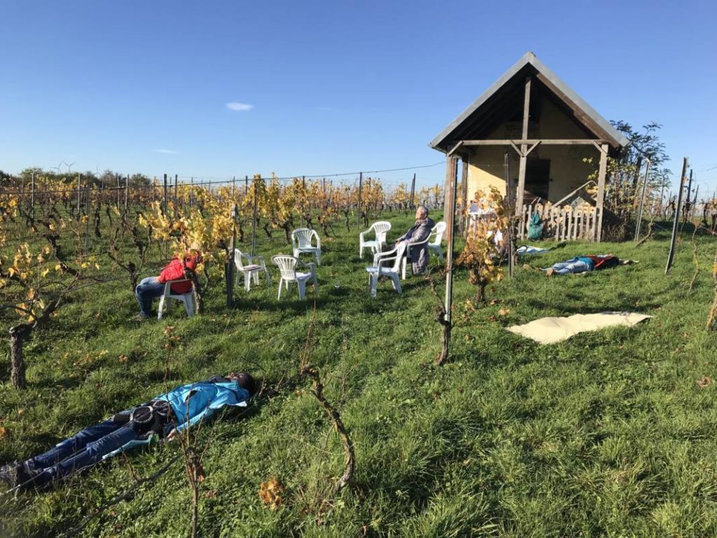 Cosmowein & Weinbaden - Naturerlebnis für alle Sinne mit Chakra Wein - 2023-05-14