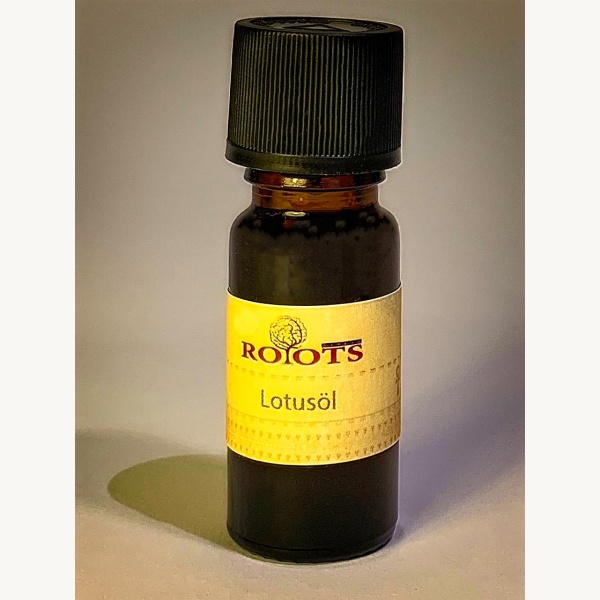 Die 7 Hauptchakren von Roots – Bild 4