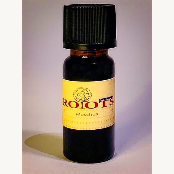 Die 7 Hauptchakren von Roots – Bild 5
