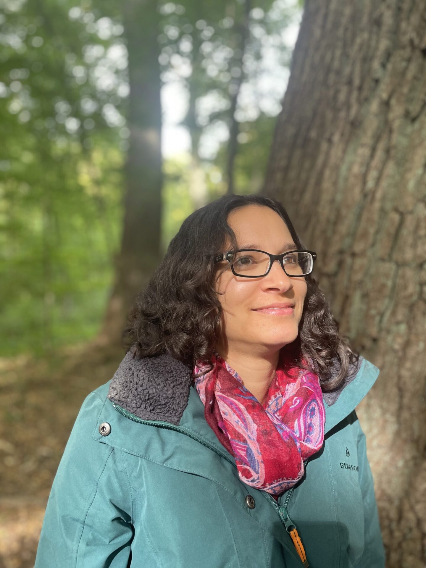 1 von 5 Heil-Sessions "Heil-Reise zu den Pflanzendevas" 1 1 von 5 Heil-Sessions "Heil-Reise zu den Pflanzendevas"