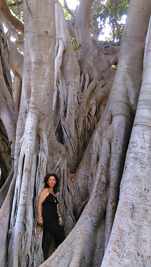 Carmen Dettendorfer 9 Carmen Dettendorfer