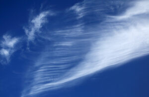 Carmen Dettendorfer 6 Carmen Dettendorfer