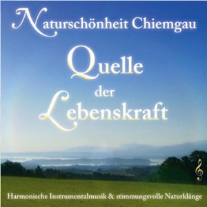 Quelle der Lebenskraft (Audio CD) - Stefan Sicurella