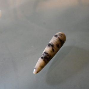 Heilstab H15 - Dorothee Zopp