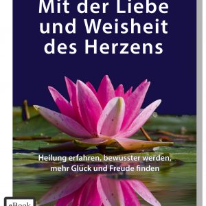 Mit der Liebe und Weisheit des Herzens - Stefan Andromis